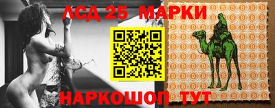 гидра Лесосибирск